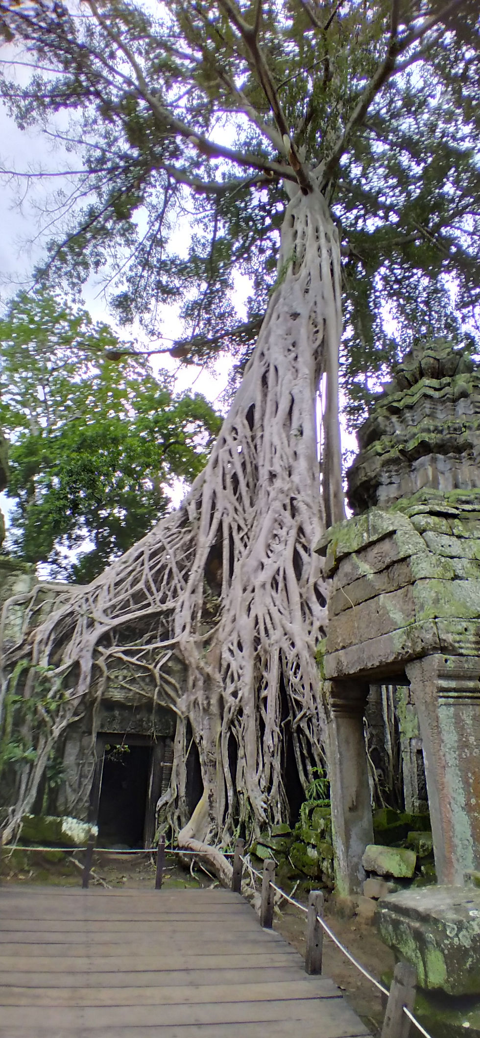 Recent Retirement Rule Changes by Congress