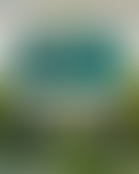 Marinduque Mangrove Research by MMPH Members Earns International Publication