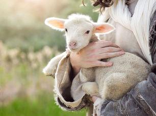 “A Rod and a Staff: How the Good Shepherd Comforts and Gives Confidence to Weary Sheep," Part One
