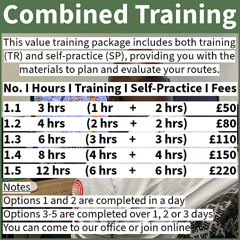 Topo combined training.png