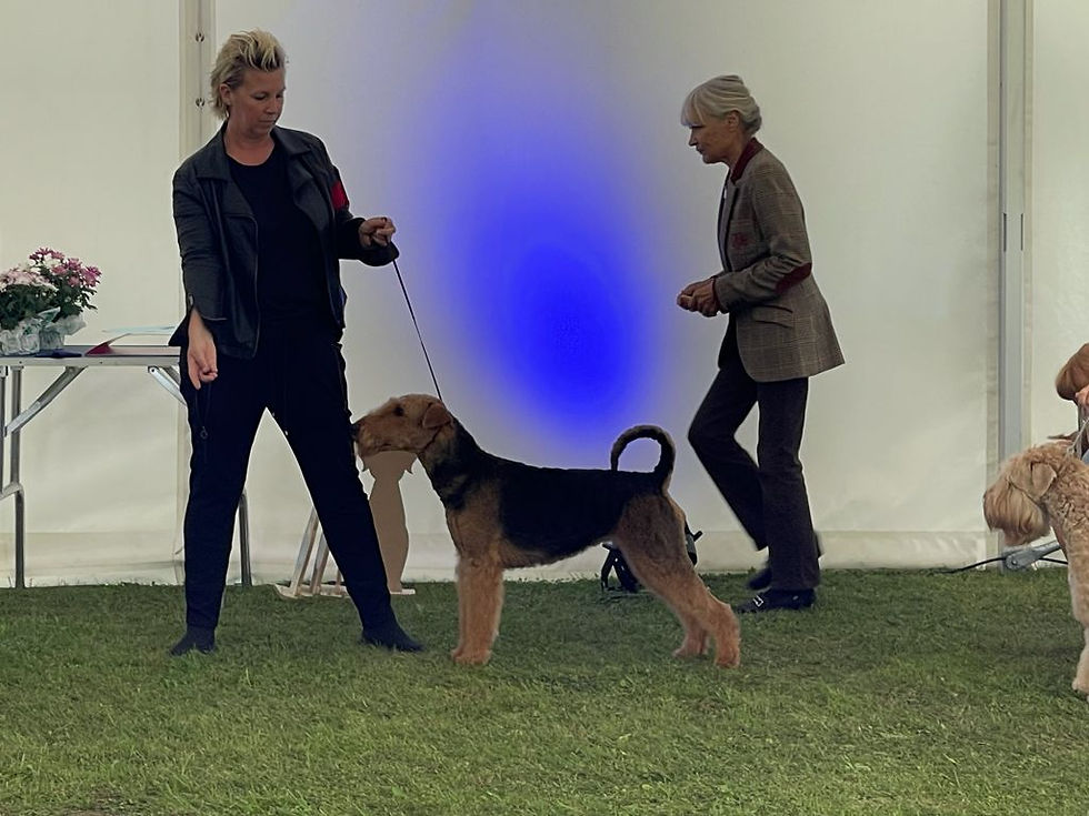 PHOTO-2021-09-27-21-14-49 4