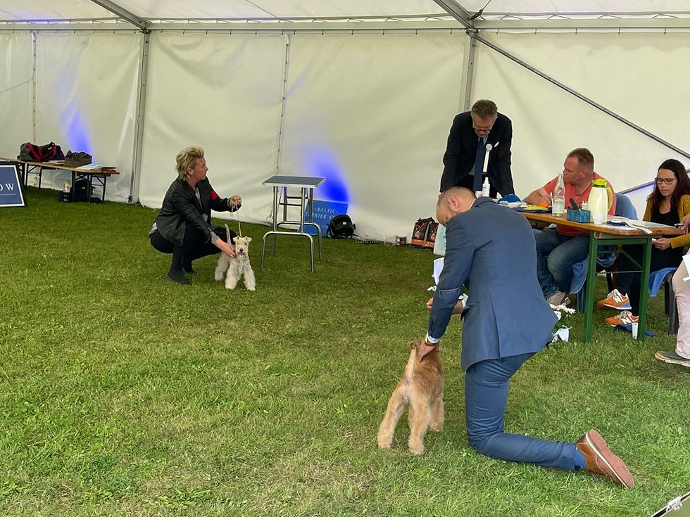 PHOTO-2021-09-27-21-14-49 2