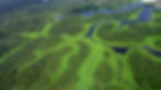Rio Negro | Amazonas