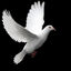 Writer: Doves Flight Writes