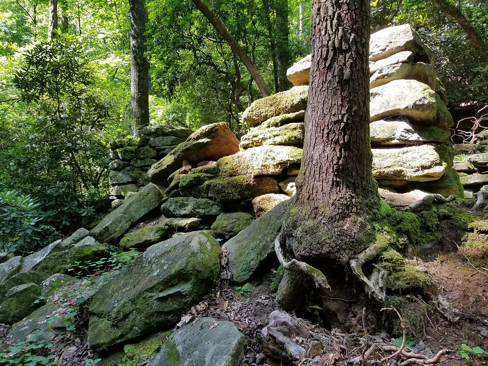abandoned-mill-piled-rocks-woods
