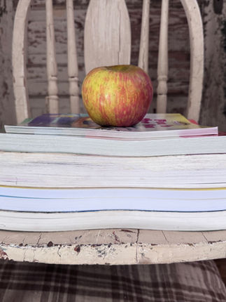 Homeschool Sneak Peek | 1st Grade Curriculum