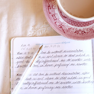 pink-willow-teacup-journal-scripture
