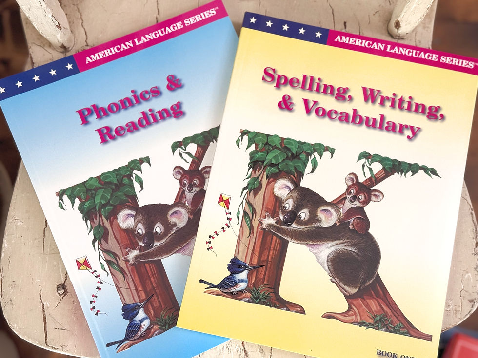 american language series workbooks