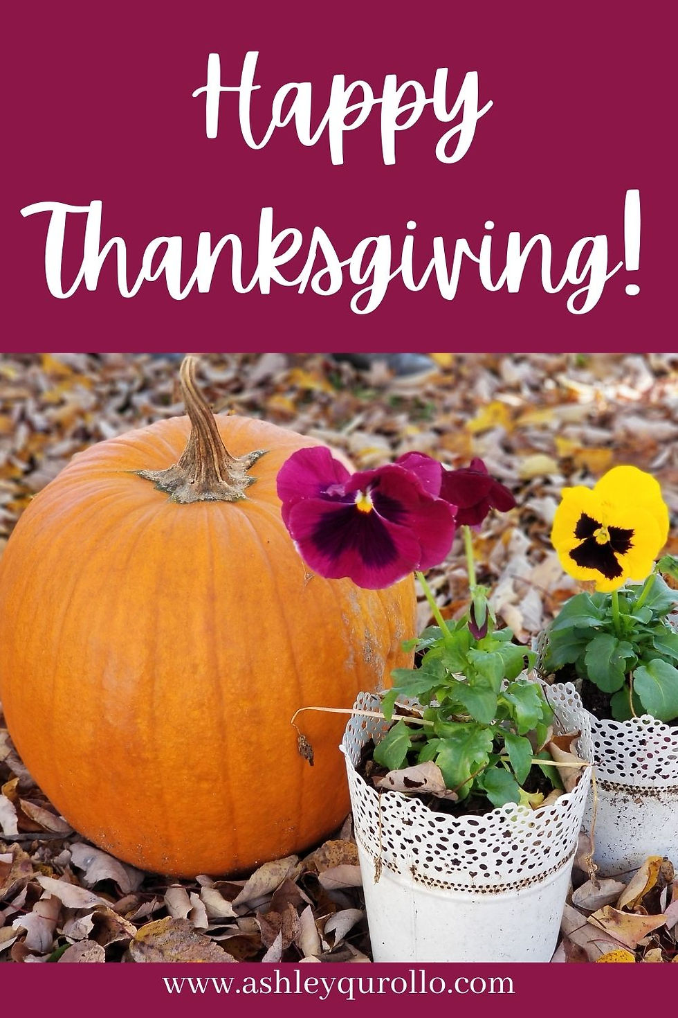 pinterest-happy-thanksgiving-pumpkin-pansies