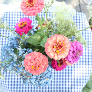 bouquet of zinnias and queen anne's lace
