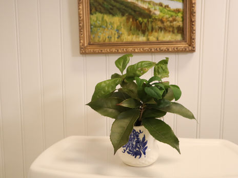 Spring Refresh in the Master