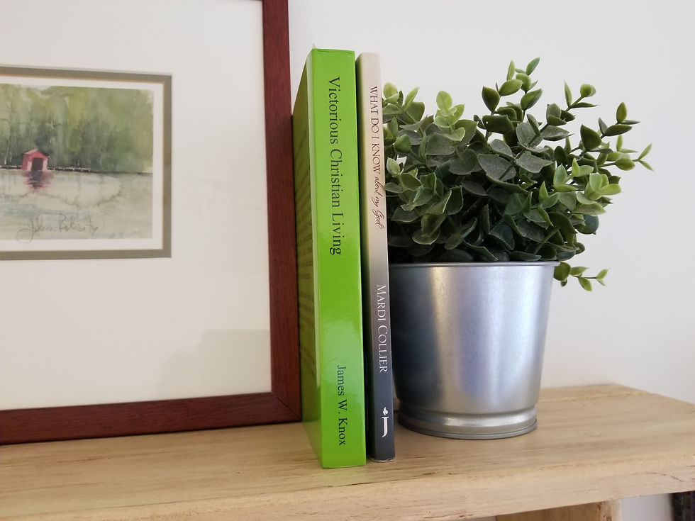 book-shelf-books-christian