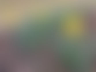 What Really Matters | Encouragement from I John 2:15-17