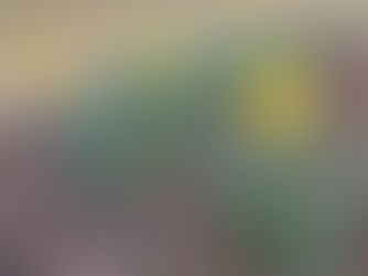 What Really Matters | Encouragement from I John 2:15-17