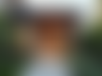 Unlock Real Estate Success with Our 12-Week Program