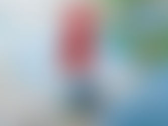 Golden Visas vs. Digital Nomad Visas: A Complete Strategic Guide to Choosing the Right Path in 2026