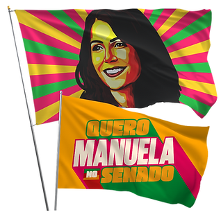 mns-2025 (Logotipo) (2).png
