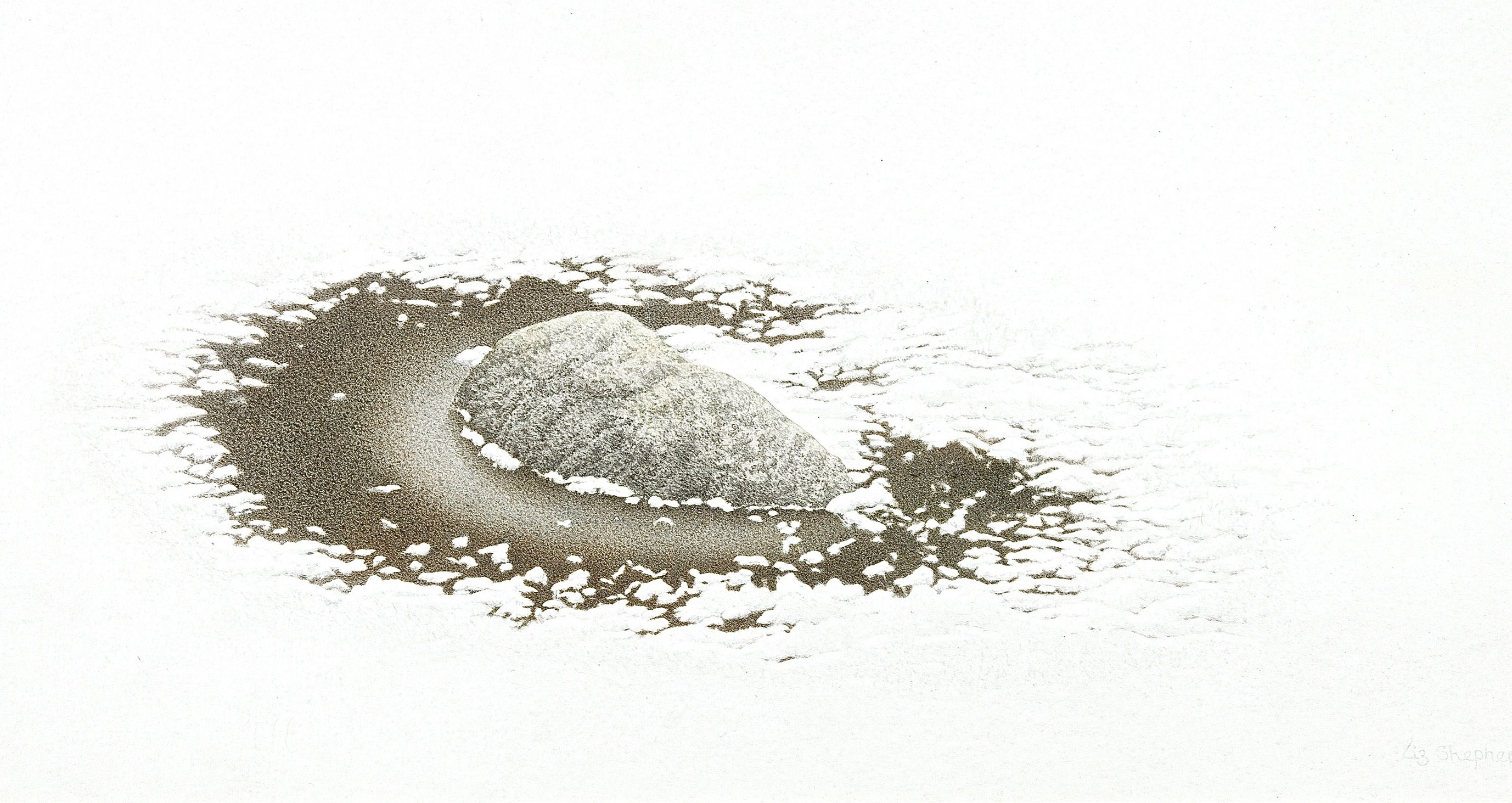 A Single Rock in a Frozen Lake