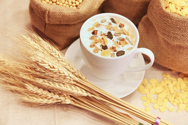 Oats 19