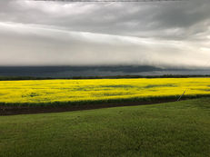 Perrot Farms 7.jpeg