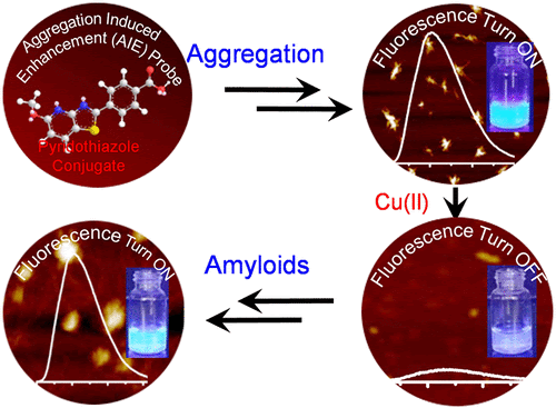 ACS applied biomaterials grahical abstract.gif
