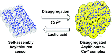 Soft Matter Graphical Abstract.gif