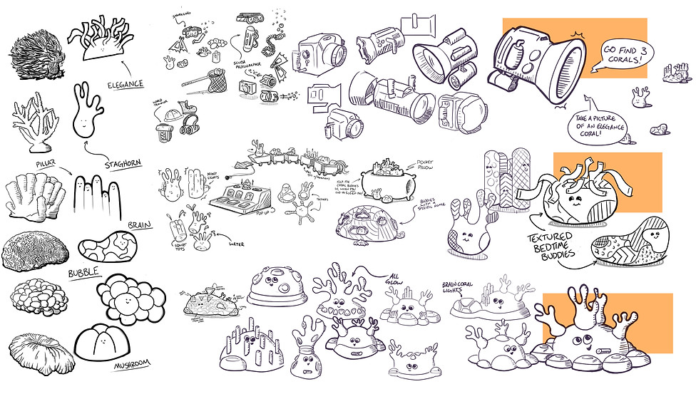 Coral_Sketchcopy2.jpg
