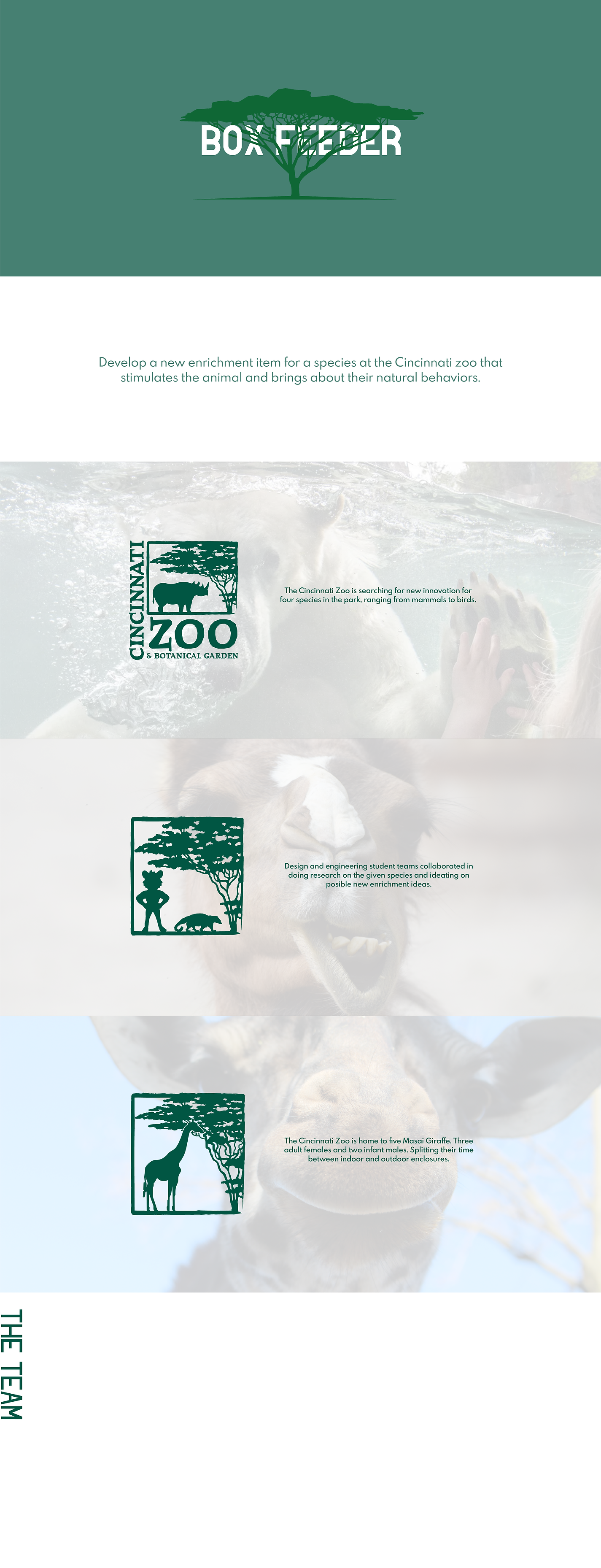 Zoo Layout-02.png