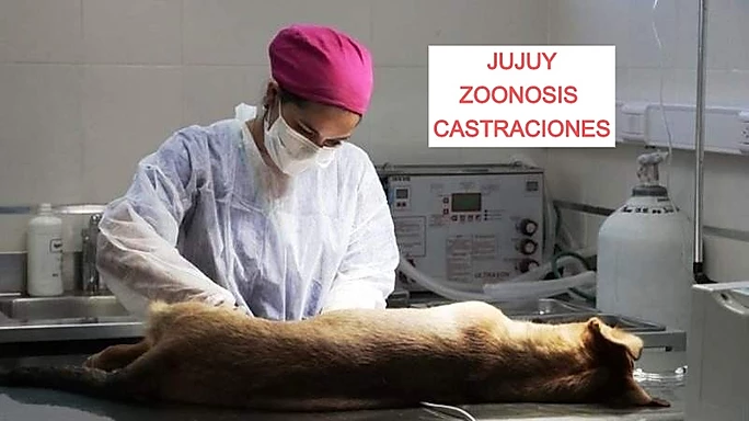 JUJUY ZOONOSIS
