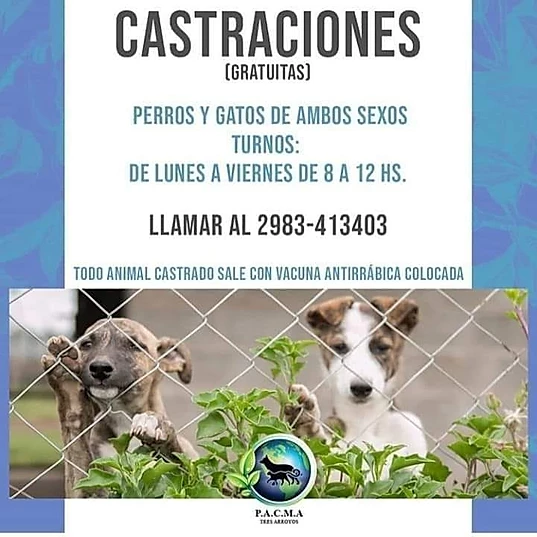 TRES ARROYOS BS.AS.