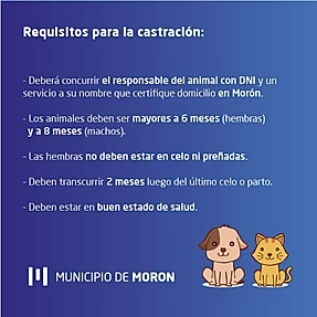 MORÓN BS.AS. ZOONOSIS