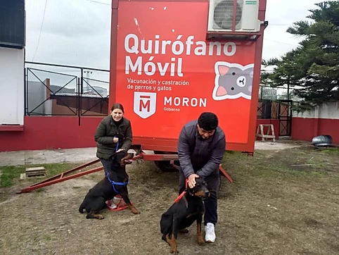 MORÓN BS.AS. ZOONOSIS