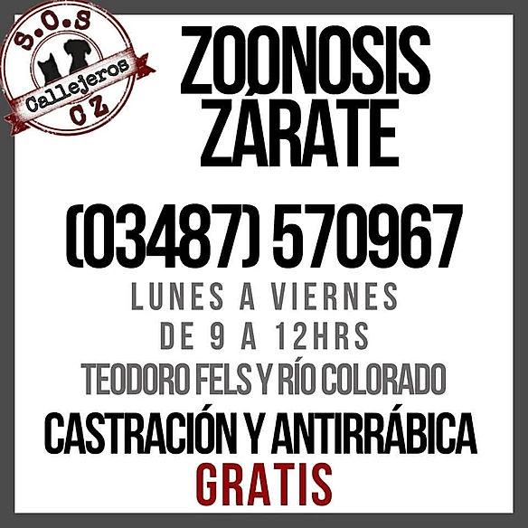 ZARATE BS.AS. ZOONOSIS