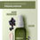 Thumbnail: Sérum Hidratante Preenchedor AUÁ 30ml