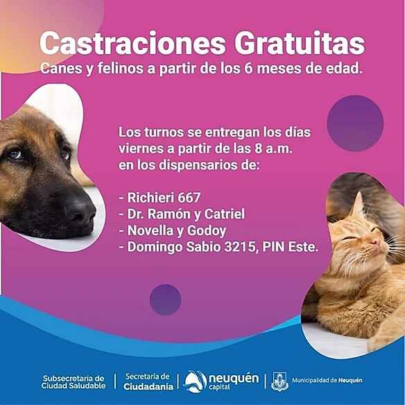 NEUQUÉN ZOONOSIS