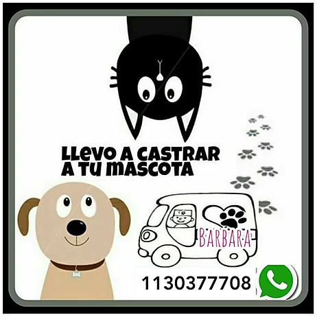 LLEVAMOS A CASTRAR