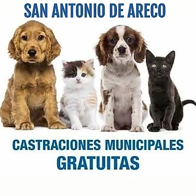 SAN ANTONIO DE ARECO BS.AS.
