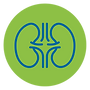 Saúde-renal.png
