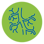 Saúde-vascular.png
