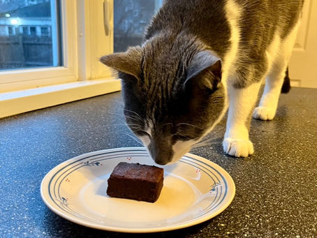 Fudgy Brownies
