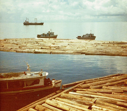 029 towing log rafts out to logship, Muara Berau 1.jpg