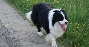 DSC05517.JPG