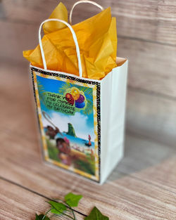 Treatbag2