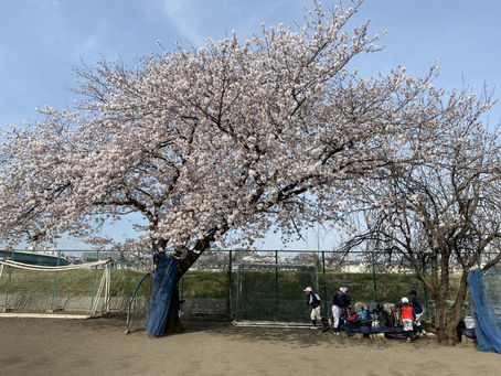 【準々決勝、雨天順延…】