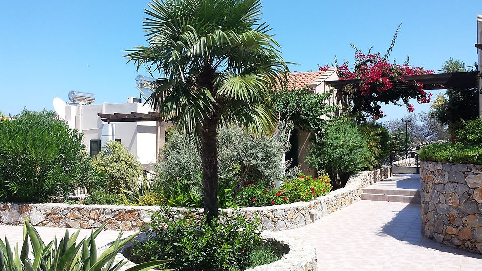 Centre of Souri village complex