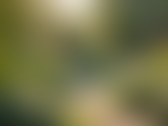 Choosing the Right Commercial Landscaper in Denver: Your Guide to Denver Landscape Services