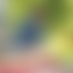 The Importance of CPR Refresher Training