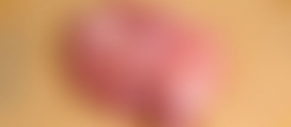 Discover the Benefits of Country Chicken ( Free Range )