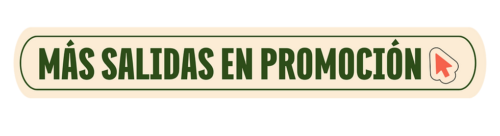 Escribinos por WhatsApp (5).png