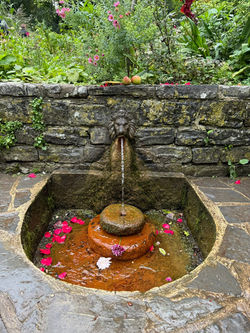 WhatsApp Image 2025-12-16 at 5.22.17 PM